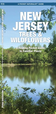 New Jersey Trees & Wildflowers New Jersey Trees & Wildflowers
