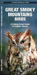Great Smoky Mountains Birds Great Smoky Mountains Birds