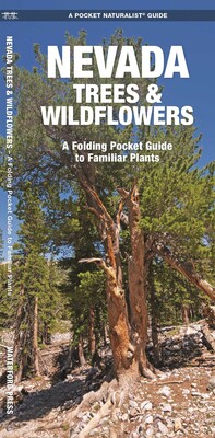 Nevada Trees & Wildflowers Nevada Trees & Wildflowers