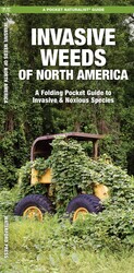 Invasive Weeds of North America