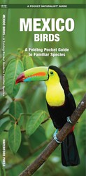 Mexico Birds