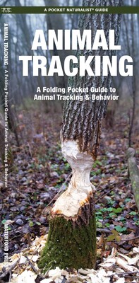 Animal Tracking Animal Tracking