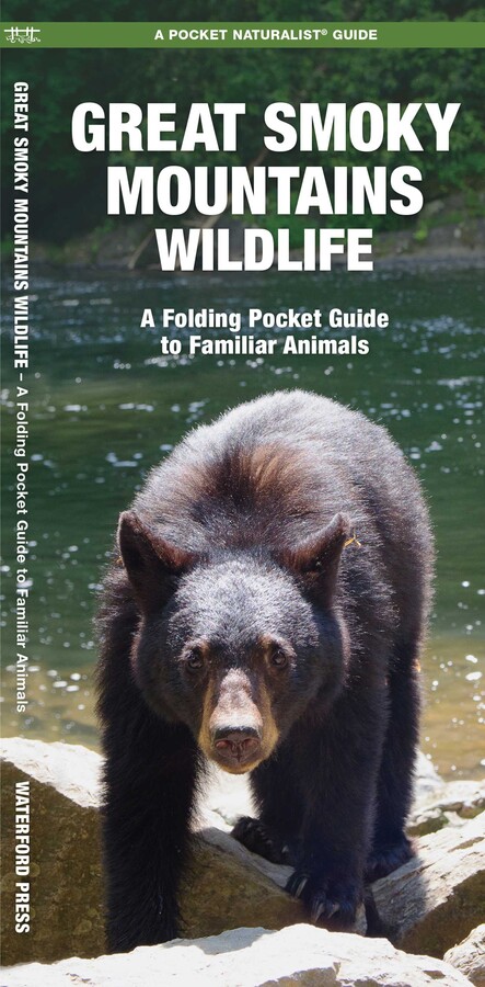 Great Smoky Mountains Wildlife