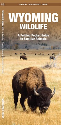 Wyoming Wildlife