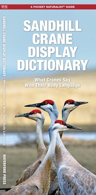 Sandhill Crane Display Dictionary, 2nd Ed Sandhill Crane Display Dictionary, 2nd Ed