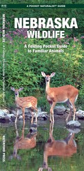 Nebraska Wildlife