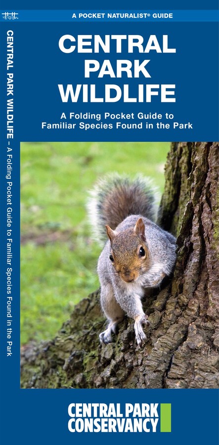 Central Park Wildlife