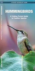 Hummingbirds Hummingbirds