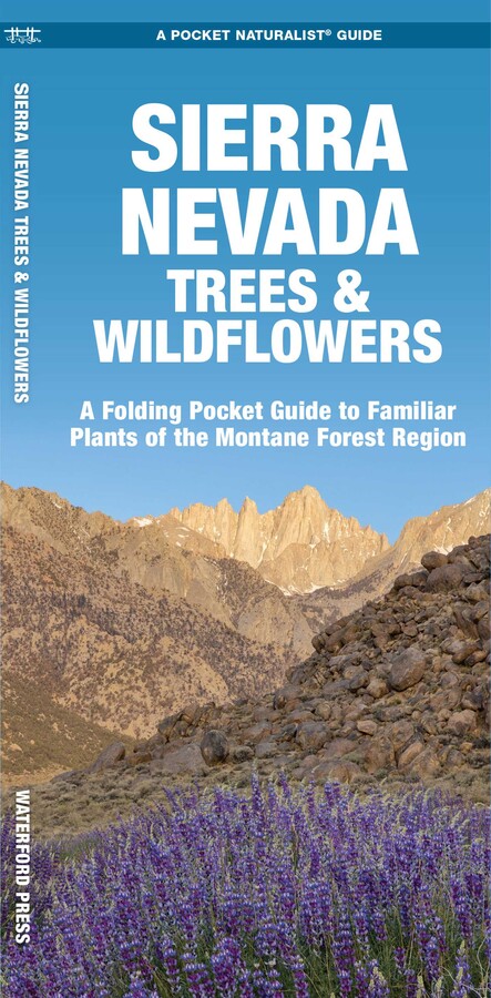 Sierra Nevada Trees & Wildflowers