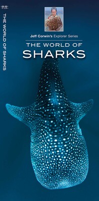 World of Sharks World of Sharks