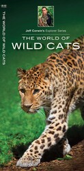World of Wild Cats