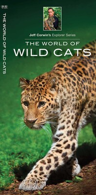World of Wild Cats World of Wild Cats