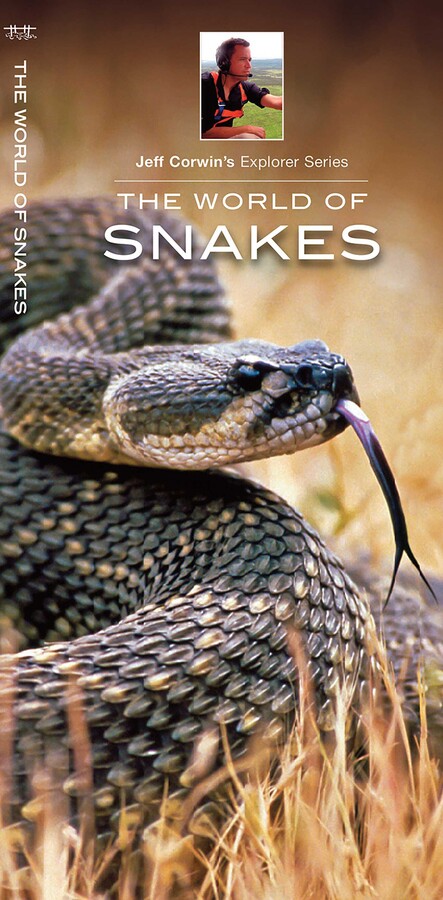 World of Snakes