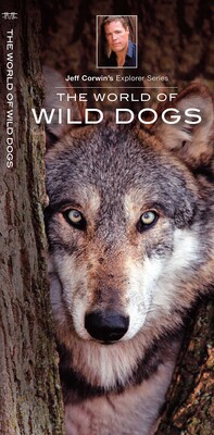 World of Wild Dogs World of Wild Dogs