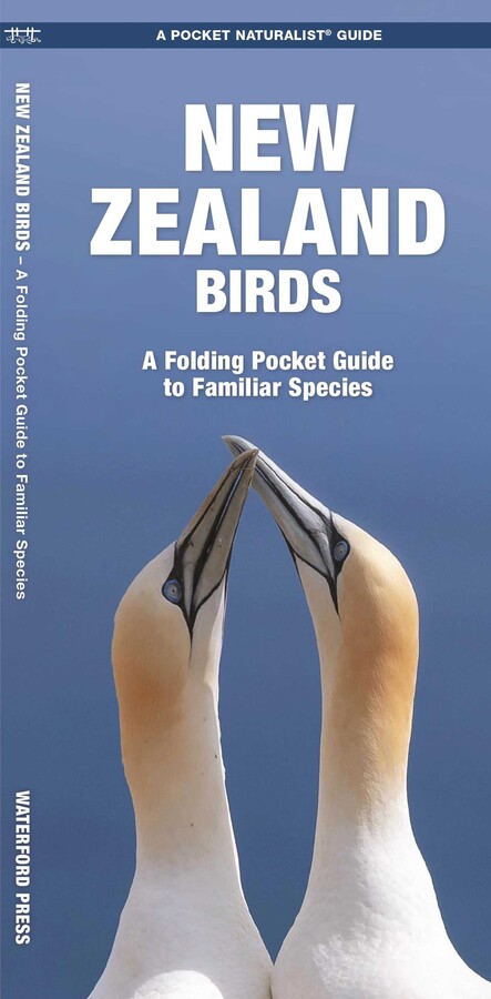 New Zealand Birds