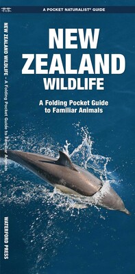 New Zealand Wildlife New Zealand Wildlife