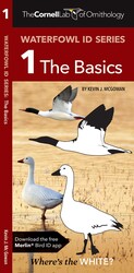 Cornell Lab of Ornithology Waterfowl ID Series: 1 The Basics