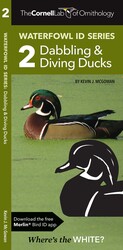 Cornell Lab of Ornithology Waterfowl ID Series: 2 Dabbling & Diving Ducks