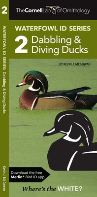 Cornell Lab of Ornithology Waterfowl ID Series: 2 Dabbling & Diving Ducks Cornell Lab of Ornithology Waterfowl ID Series: 2 Dabbling & Diving Ducks
