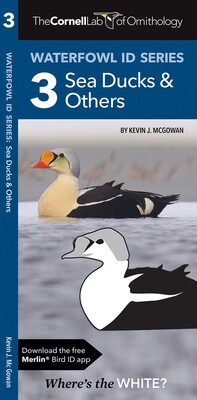 Cornell Lab of Ornithology Waterfowl ID Series: 3 Sea Ducks & Others