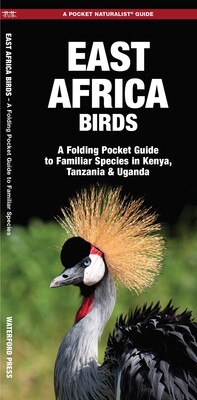 East Africa Birds East Africa Birds