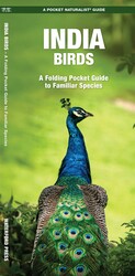 India Birds