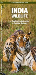 India Wildlife