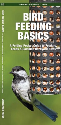 Bird Feeding Basics Bird Feeding Basics