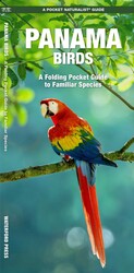 Panama Birds Panama Birds