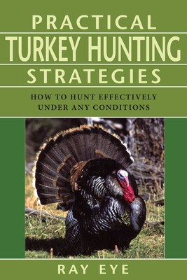 Practical Turkey Hunting Strategies Practical Turkey Hunting Strategies