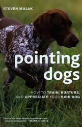 Pointing Dogs Pointing Dogs