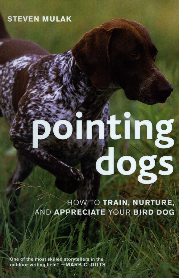 Pointing Dogs