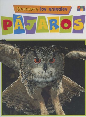 Pajaros Pajaros