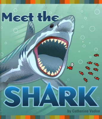 Meet the Shark Meet the Shark