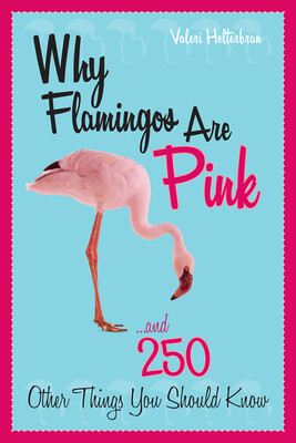 Why Flamingos Are Pink Why Flamingos Are Pink