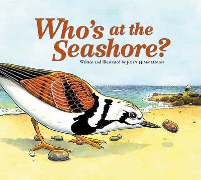 Who's at the Seashore? Who's at the Seashore?