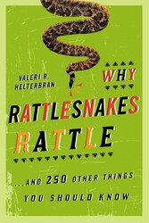 Why Rattlesnakes Rattle