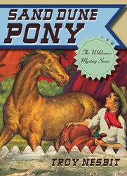 Sand Dune Pony Sand Dune Pony