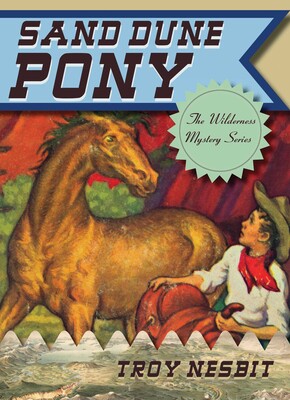 Sand Dune Pony Sand Dune Pony