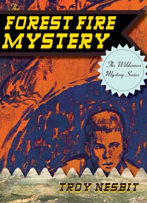 Forest Fire Mystery Forest Fire Mystery