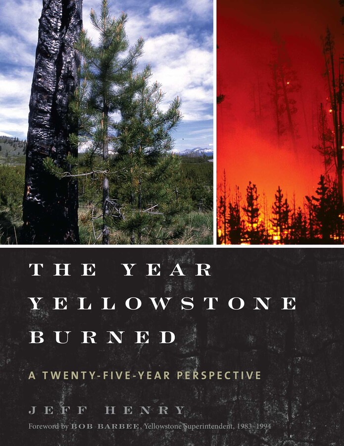 Year Yellowstone Burned