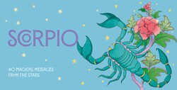 Scorpio Pocket Zodiac Cards Scorpio Pocket Zodiac Cards
