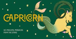 Capricorn Pocket Zodiac Cards Capricorn Pocket Zodiac Cards