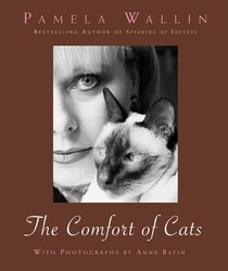Comfort of Cats Comfort of Cats