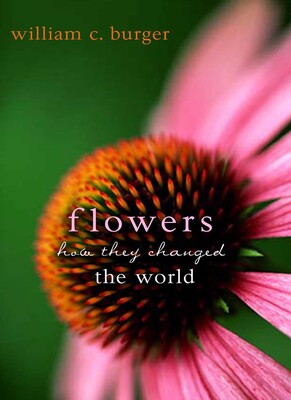 Flowers Flowers