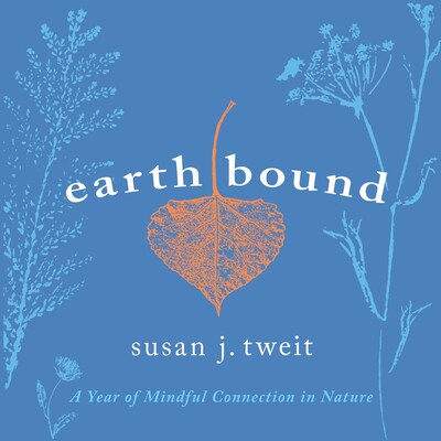 Earthbound Earthbound