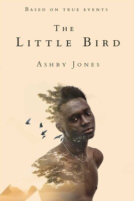 Little Bird Little Bird
