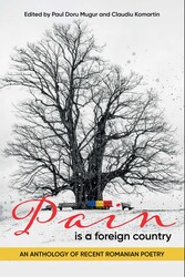 Pain is a Foreign Country
