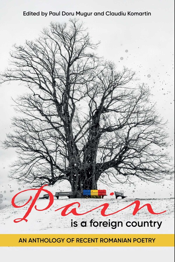 Pain is a Foreign Country