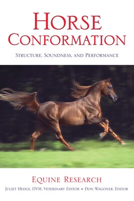 Horse Conformation Horse Conformation